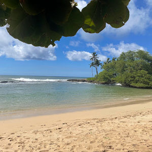 Meet your Posher, Avigail